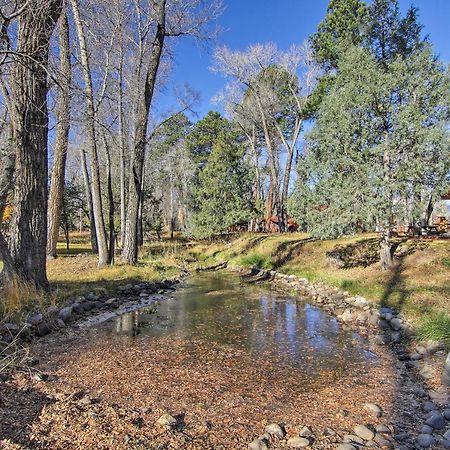 Cozy Colorado Cabin With Deck, Grill And River Access! Buena Vista Exteriör bild