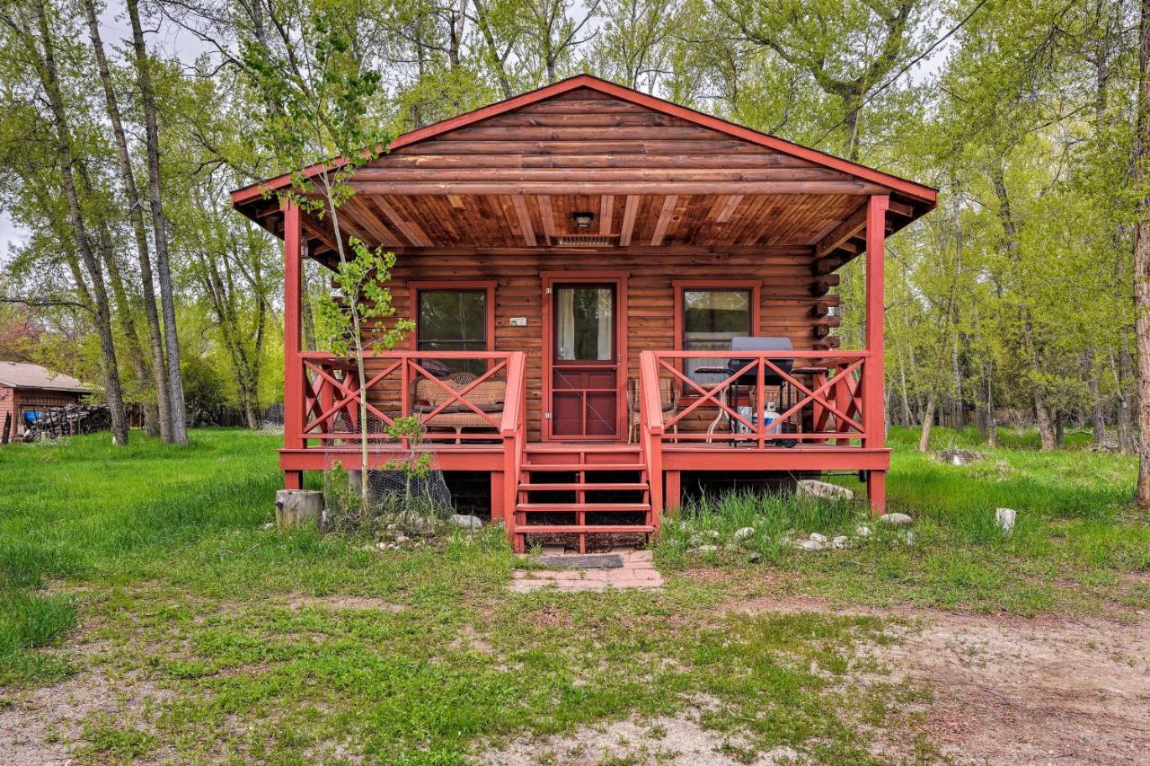 Cozy Colorado Cabin With Deck, Grill And River Access! Buena Vista Exteriör bild