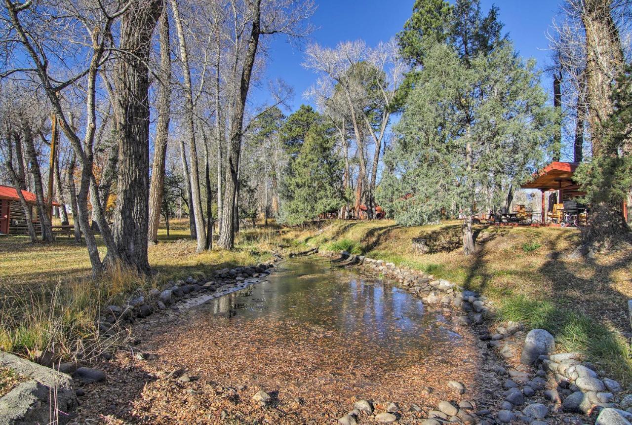 Cozy Colorado Cabin With Deck, Grill And River Access! Buena Vista Exteriör bild