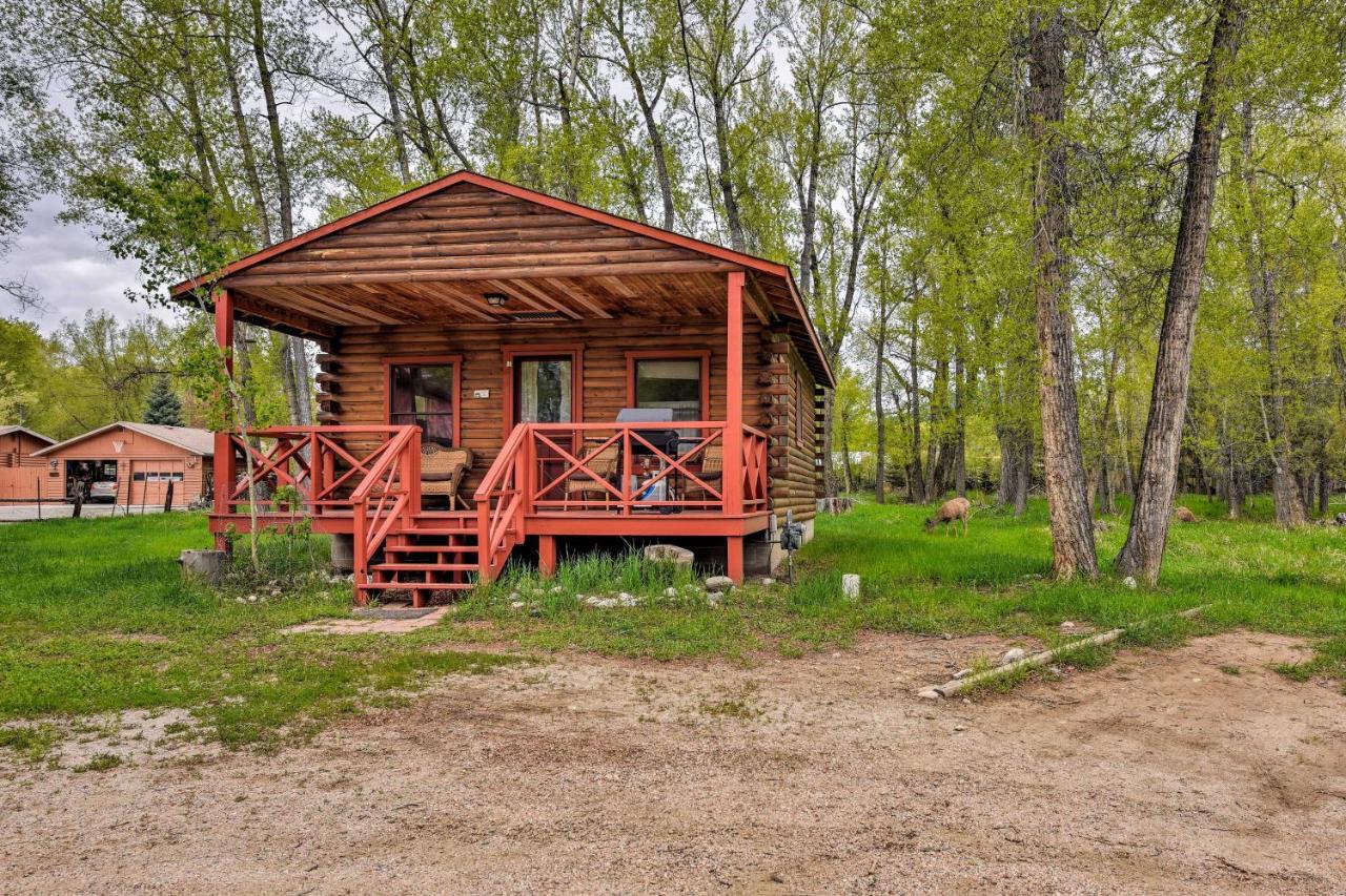 Cozy Colorado Cabin With Deck, Grill And River Access! Buena Vista Exteriör bild