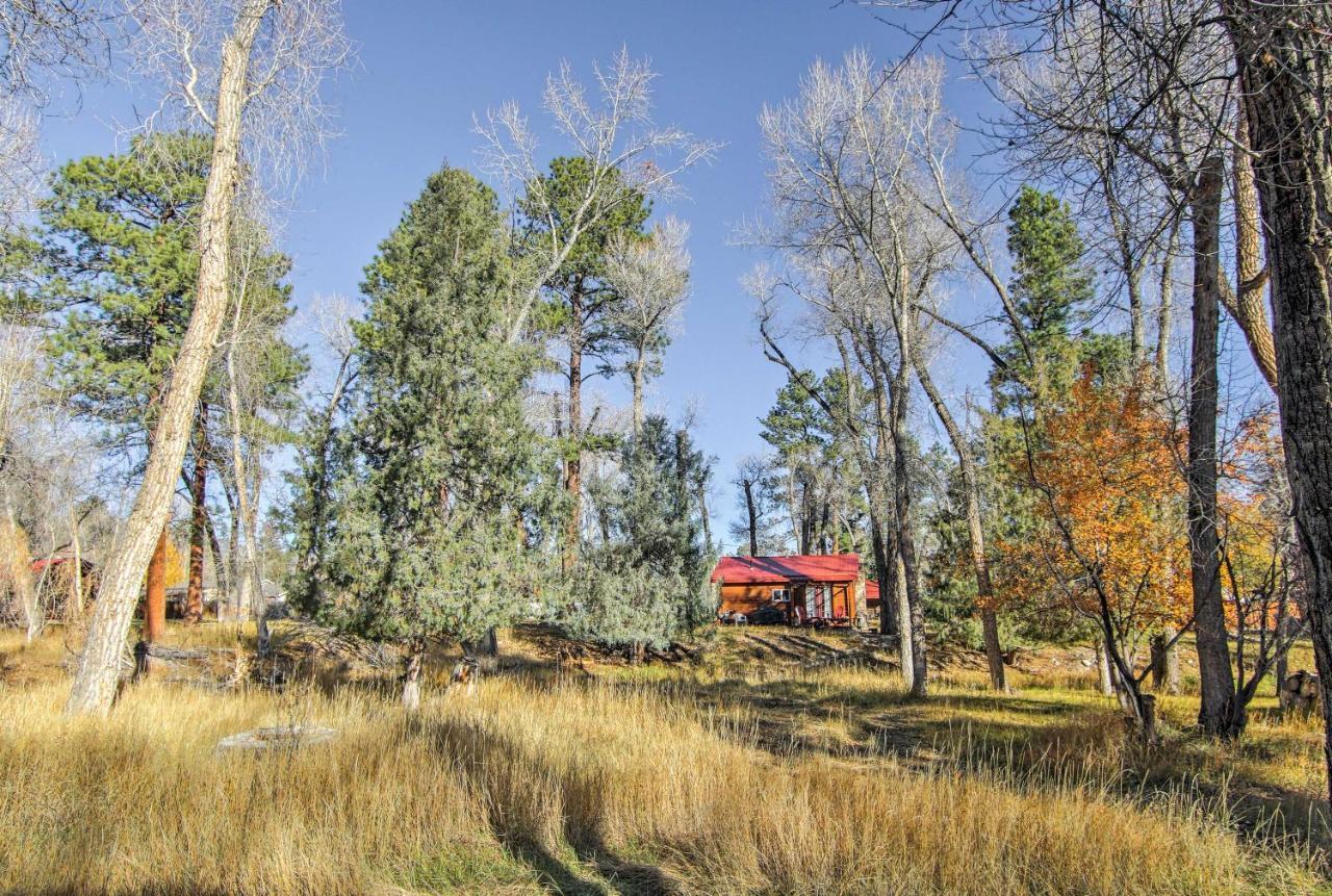 Cozy Colorado Cabin With Deck, Grill And River Access! Buena Vista Exteriör bild